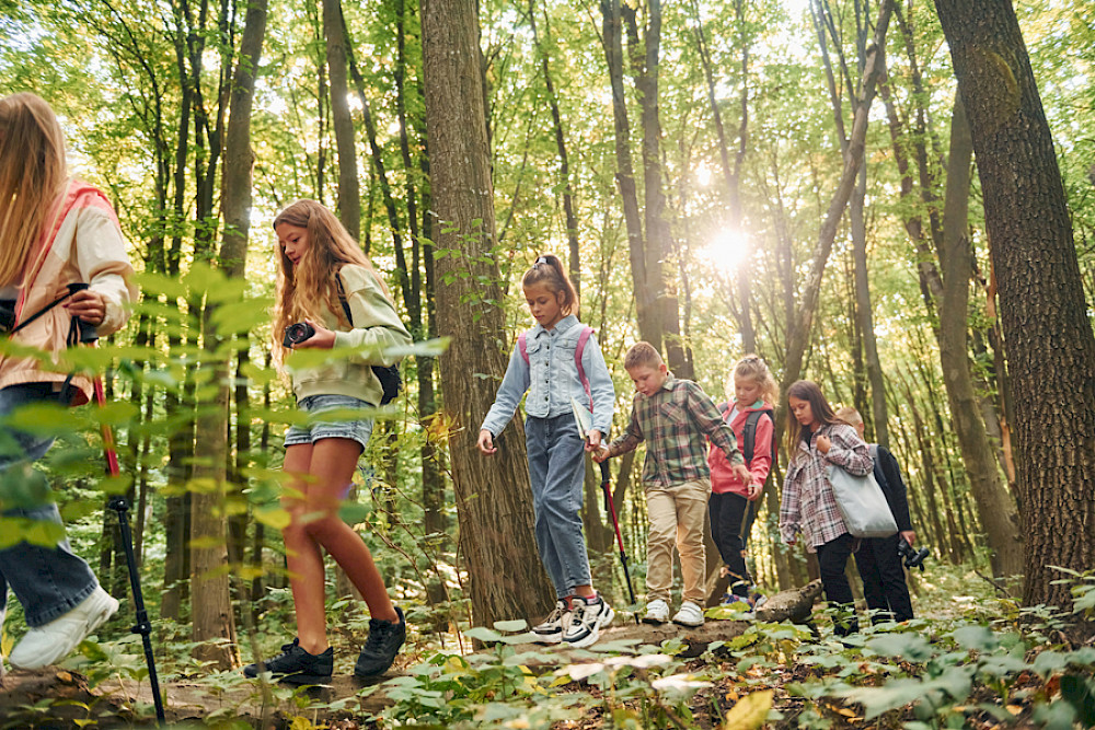 Bild zeigt eine Gruppe Kinder im Wald.
