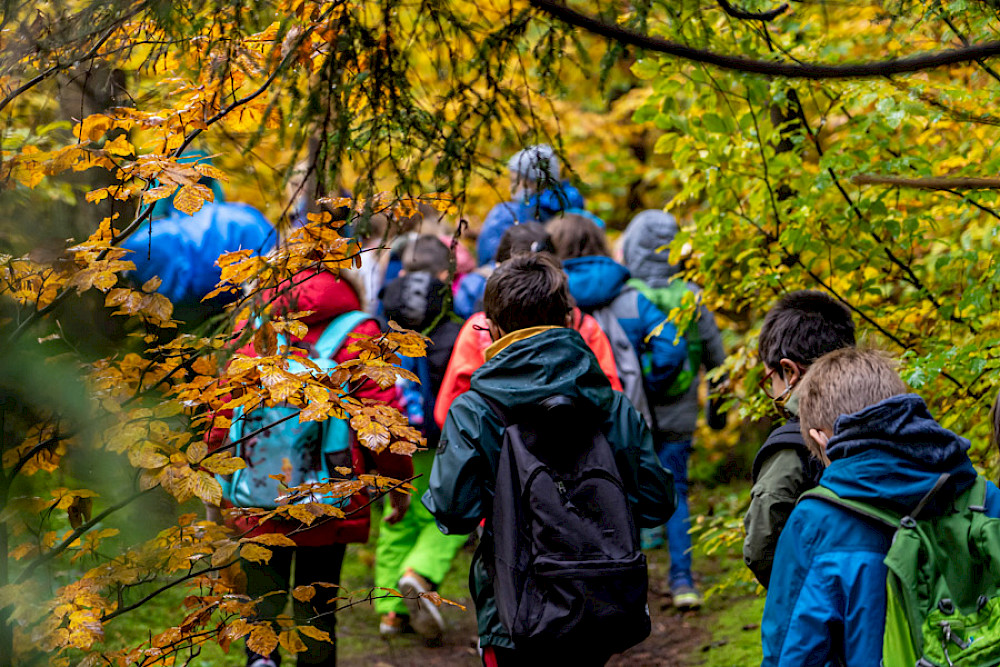 Bild zeigt eine Kindergruppe bei Regen im Wald.