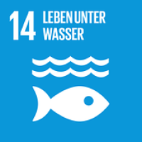 Bild zeigt das BNE-Ziel 14: Leben unter Wasser..