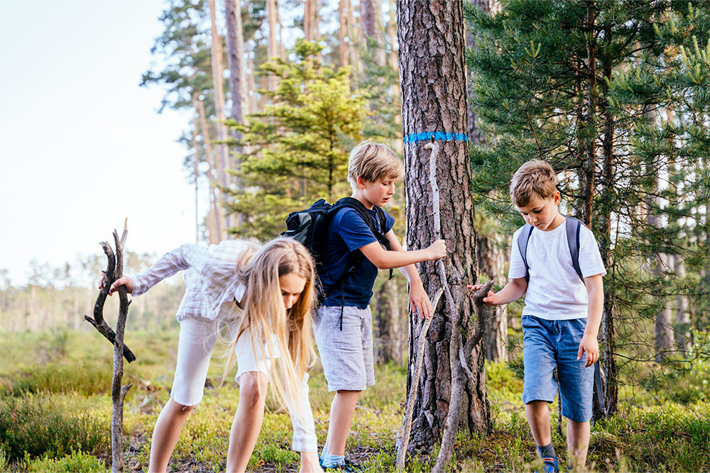 Bild zeigt Kinder beim Spielen im Wald.