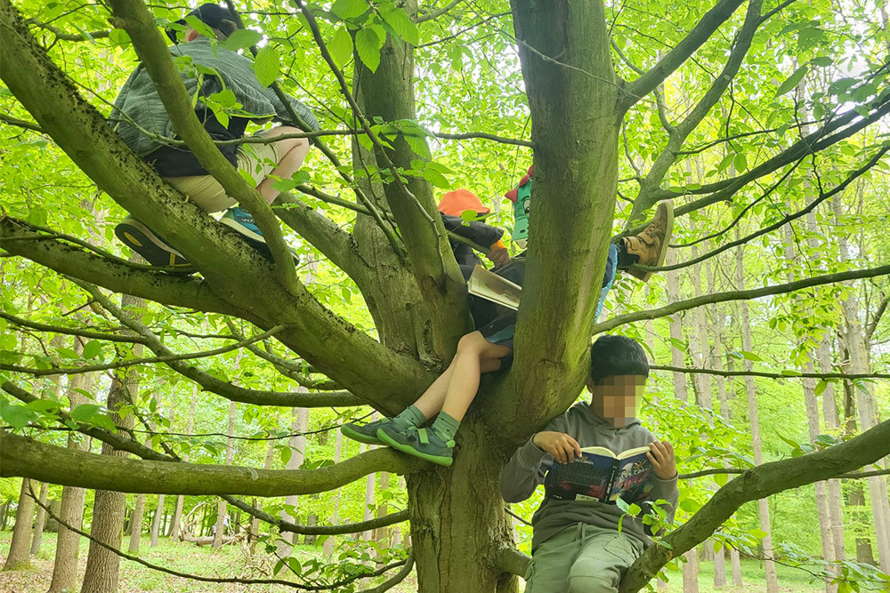 Bild zeigt Kinder auf einem Baum Bücher lesen.